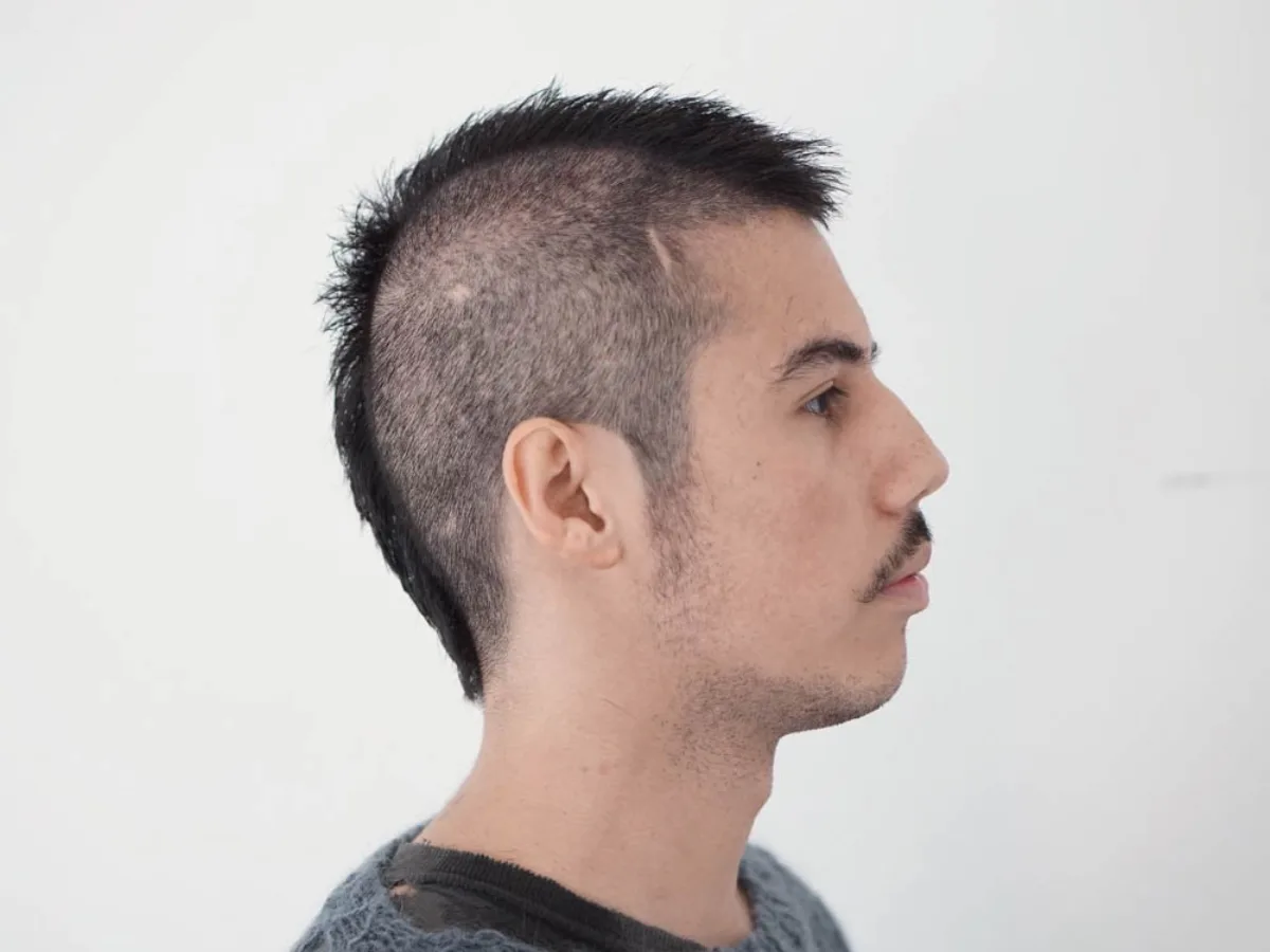 Short spiky crop with a high fade, profile view